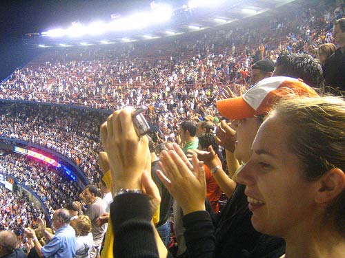 Ny Mets fan